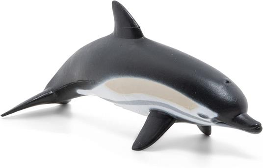 Delfino comune - 4