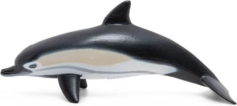 Delfino comune - 5