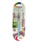 Penna con punta pennello Pentel Aquash Water brush punta grande