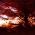 Ewige Blumenkraft - Vinile LP di Colour Haze