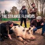 Pearls at Swine - CD Audio di Strange Flowers