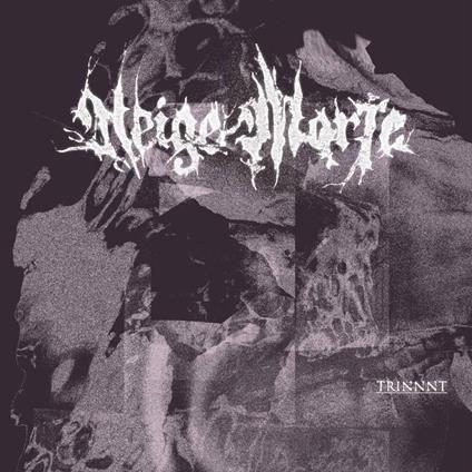 Trinnnt - CD Audio di Neige Morte