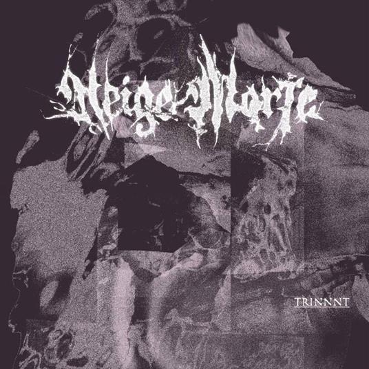 Trinnnt - CD Audio di Neige Morte