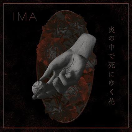 Flowers Die in Burning Fire - Vinile LP di Ima