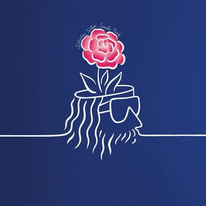 Simple Mind - Vinile LP di Sebastien Tellier
