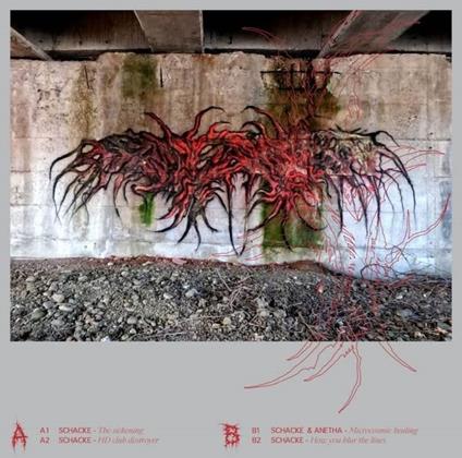 Looks Are Deceiving - Vinile LP di Schacke & Anetha