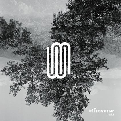 N-Traverse Vol. 1 - Vinile LP di Warren Walker