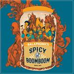 Spicy Boom Boom