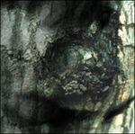 The Waltz of the Monsters 1995 - CD Audio di Yann Tiersen