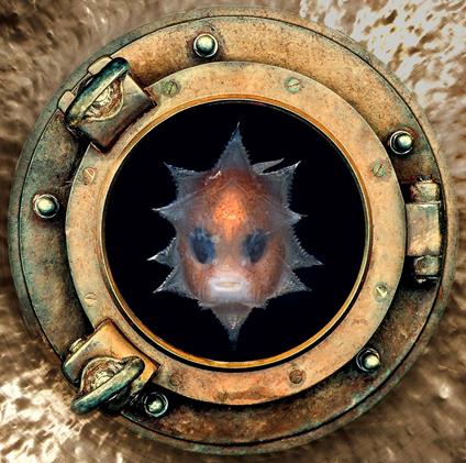 The Mysterious Island - CD Audio di Free Human Zoo