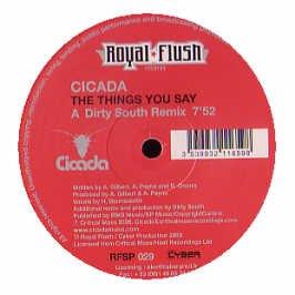 The Things You Say - Vinile LP di Cicada