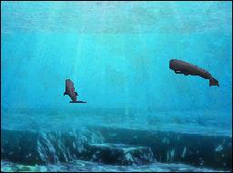 Fantasy Aquarium by DS - 11