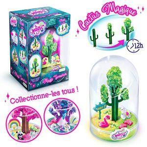 Canal Toys MSG 010 SO DIY - So Magic - Terrario Grande da Far Crescere - Tema Deserto