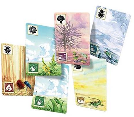 Meadow. Base - ITA. Gioco da tavolo - 4