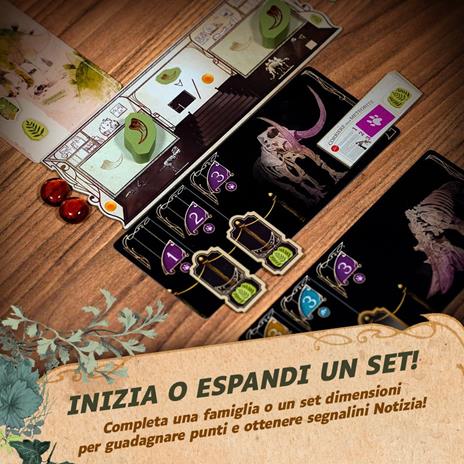 Asmodee – FIRST GIANTS – Raccogli Fossili e Allestisci il tuo Museo – Gioco da Tavolo di Strategia e Gestione - 5