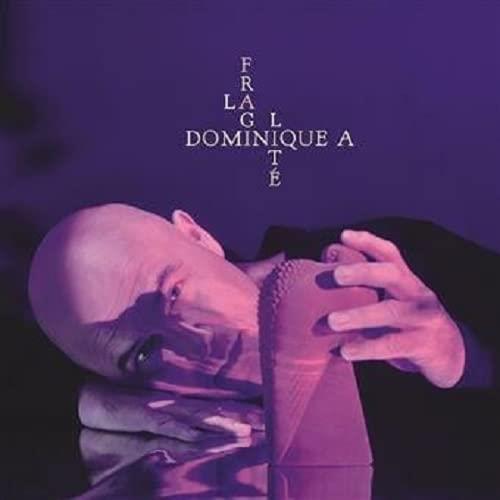 La Fragilite - Vinile LP di Dominique A