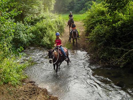 SMARTBOX - A spasso per la Maremma in sella: 1 passeggiata a cavallo per 4 persone - Cofanetto regalo - 5