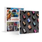SMARTBOX - Il gusto del Birrificio della Granda a domicilio: 24 birre artigianali e una t-shirt - Cofanetto regalo