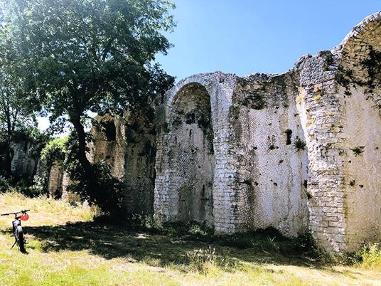 SMARTBOX - Atmosfere medievali: tour in barca con passeggiata in bici e degustazione di vini - Cofanetto regalo - 5