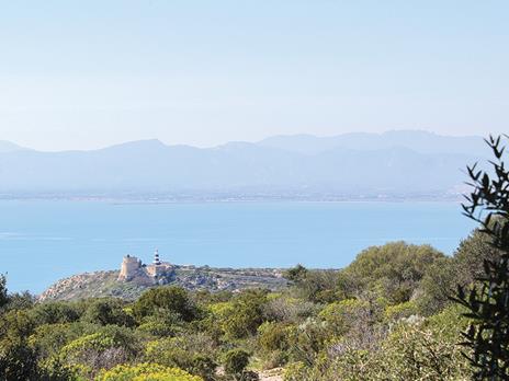 SMARTBOX Sardegna Gourmet: food tour della Marina di Cagliari con degustazione di ostriche e dolci sardi Cofanetto regalo - 3