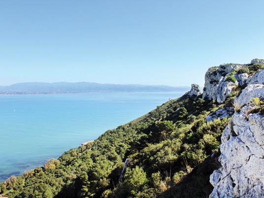 SMARTBOX Sardegna Gourmet: food tour della Marina di Cagliari con degustazione di ostriche e dolci sardi Cofanetto regalo - 13