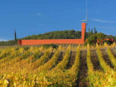 SMARTBOX - Visita enologica con degustazione di vini maremmani e schiaccia tipica per 2 - Cofanetto regalo - 3