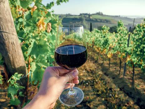 SMARTBOX - Visita enologica con degustazione di vini maremmani e schiaccia tipica per 2 - Cofanetto regalo - 5