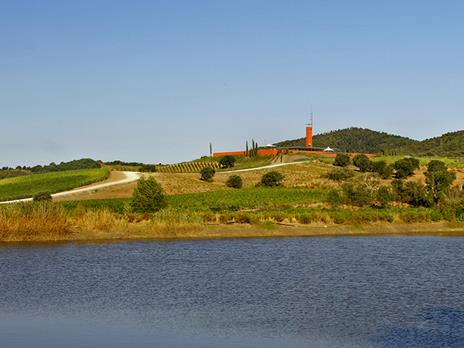 SMARTBOX - Visita enologica con degustazione di vini maremmani e schiaccia tipica per 2 - Cofanetto regalo - 7