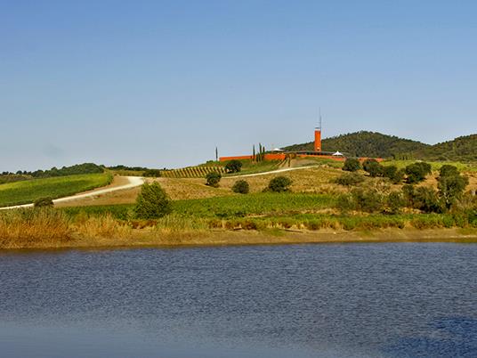 SMARTBOX - Visita enologica con degustazione di vini maremmani e schiaccia tipica per 2 - Cofanetto regalo - 7