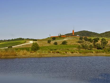 SMARTBOX - Visita enologica con degustazione di vini maremmani e schiaccia tipica per 2 - Cofanetto regalo - 13