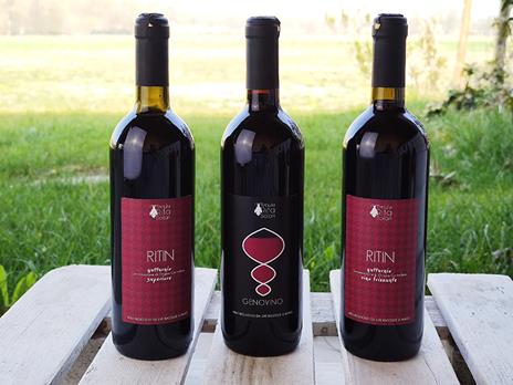 SMARTBOX - Selezione Rubino Bacchanalis: 3 vini rossi con consegna a domicilio - Cofanetto regalo - 3