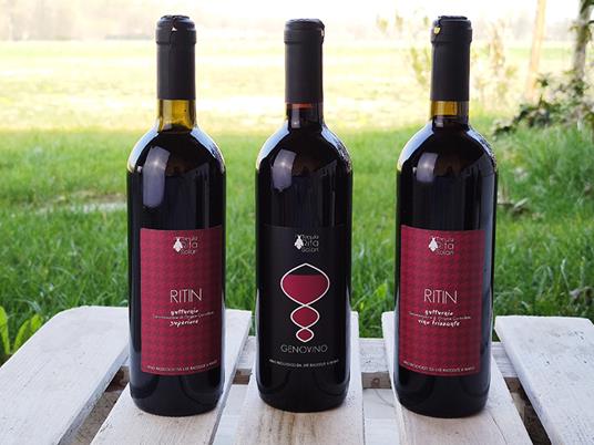 SMARTBOX - Selezione Rubino Bacchanalis: 3 vini rossi con consegna a domicilio - Cofanetto regalo - 3