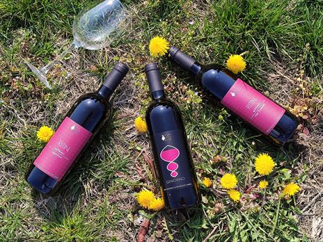 SMARTBOX - Selezione Rubino Bacchanalis: 3 vini rossi con consegna a domicilio - Cofanetto regalo - 5