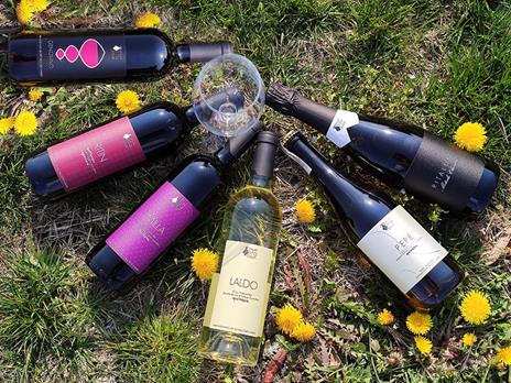 SMARTBOX - Tenuta Rita Solari: 6 pregiate bottiglie di vino con consegna a domicilio - Cofanetto regalo - 13