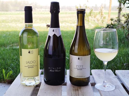 SMARTBOX - 3 bottiglie di vino bianco della Tenuta Rita Solari con consegna a domicilio - Cofanetto regalo - 3