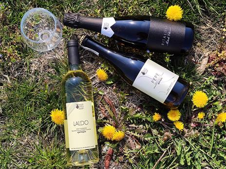 SMARTBOX - 3 bottiglie di vino bianco della Tenuta Rita Solari con consegna a domicilio - Cofanetto regalo - 7