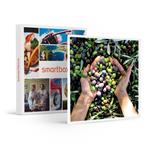 SMARTBOX - 6 bottiglie di olio EVO sicliano o ligure, paté di olive e carciofini sott'olio a casa tua - Cofanetto regalo