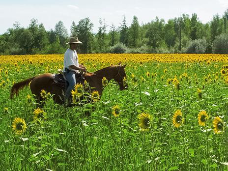 SMARTBOX - In sella per la Maremma: esclusiva passeggiata a cavallo di 2 ore per 2 persone - Cofanetto regalo - 3