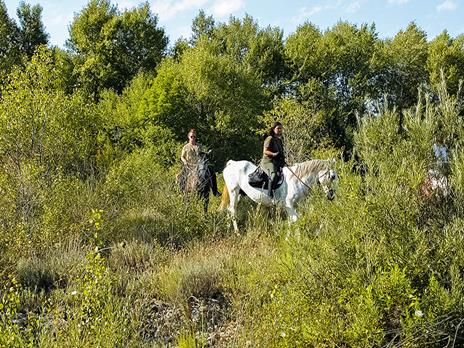 SMARTBOX - In sella per la Maremma: esclusiva passeggiata a cavallo di 2 ore per 2 persone - Cofanetto regalo - 7