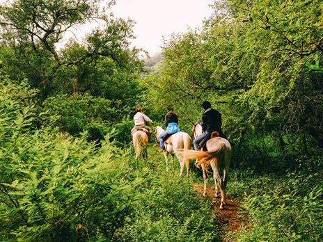 SMARTBOX - Tutti in sella in Toscana: passeggiata a cavallo di 1h con lezione introduttiva per 4 - Cofanetto regalo - 13