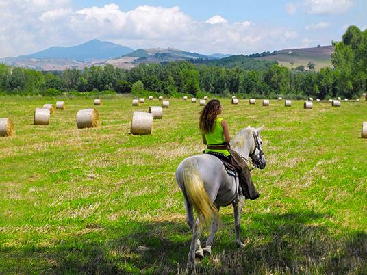 SMARTBOX - Equitazione in Toscana: passeggiata a cavallo con lezione introduttiva di 3 ore per 2 - Cofanetto regalo - 3