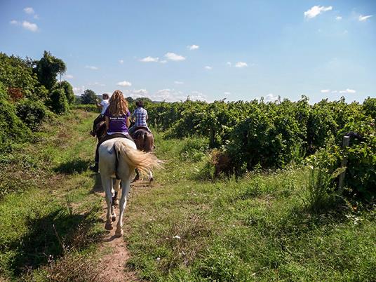 SMARTBOX - Equitazione in Toscana: passeggiata a cavallo con lezione introduttiva di 3 ore per 2 - Cofanetto regalo - 5