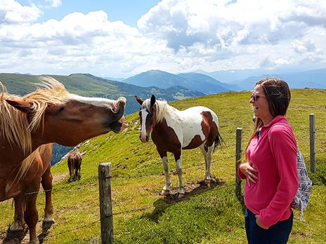 SMARTBOX - Equitazione in Toscana: passeggiata a cavallo con lezione introduttiva di 3 ore per 2 - Cofanetto regalo - 13