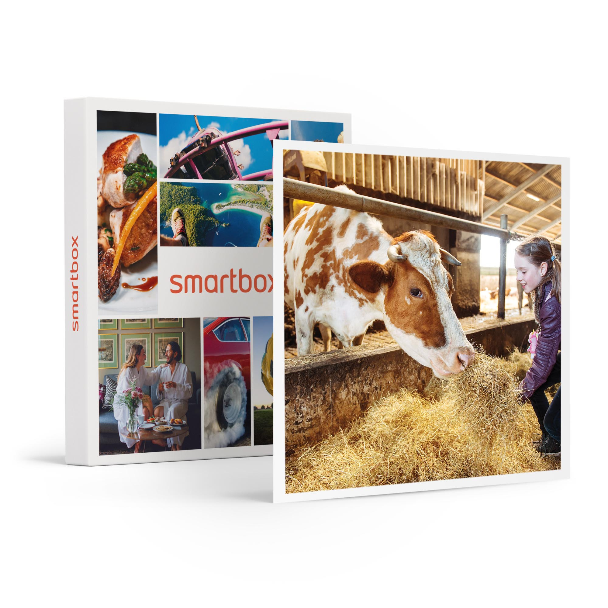Smartbox
