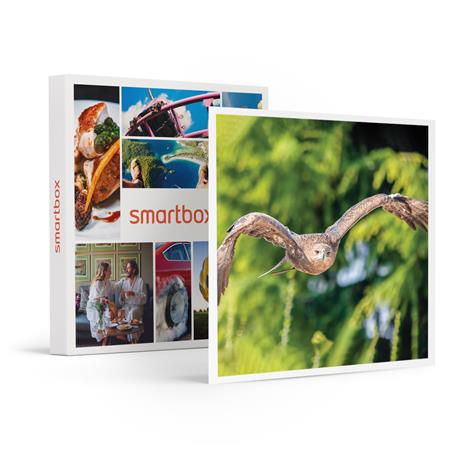 SMARTBOX - Esperienza di falconeria con spettacolo e visita ai rapaci a Cividale del Friuli - Cofanetto regalo