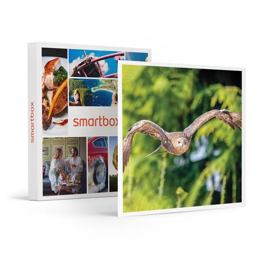 SMARTBOX - Esperienza di falconeria con spettacolo e visita ai rapaci a Cividale del Friuli - Cofanetto regalo