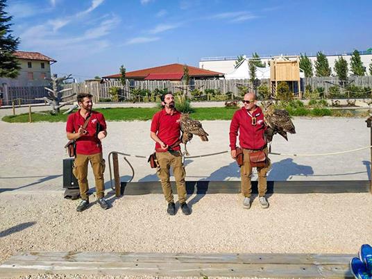SMARTBOX - Esperienza di falconeria con spettacolo e visita ai rapaci a Cividale del Friuli - Cofanetto regalo - 8