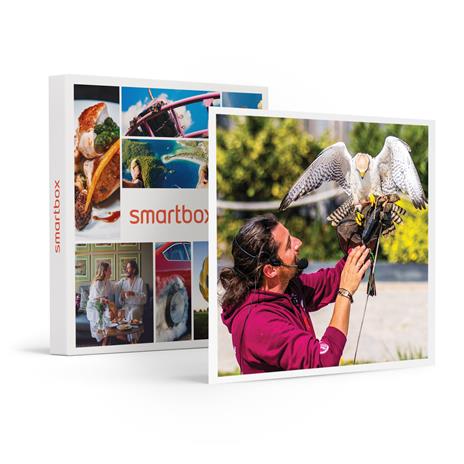 SMARTBOX - Esperienza di falconeria con aperitivo, spettacolo e visita ai rapaci a Cividale del Friuli - Cofanetto regalo