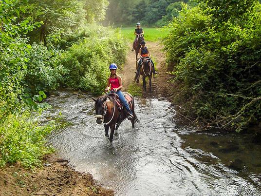 SMARTBOX - 1 esperienza a cavallo con pausa gourmet o attività per 2 - Cofanetto regalo - 5