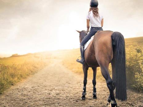 SMARTBOX - 1 esperienza a cavallo con pausa gourmet o attività per 2 - Cofanetto regalo - 6